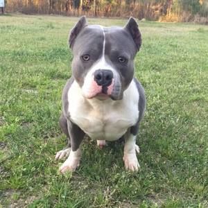 Meet your Posher, Ann